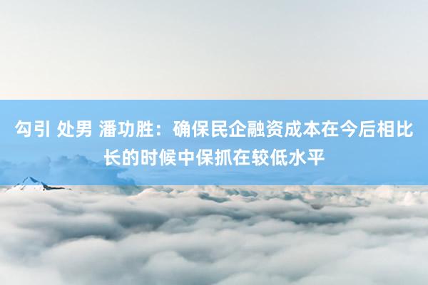 勾引 处男 潘功胜：确保民企融资成本在今后相比长的时候中保抓在较低水平