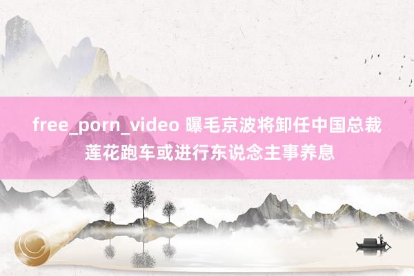 free_porn_video 曝毛京波将卸任中国总裁 莲花跑车或进行东说念主事养息