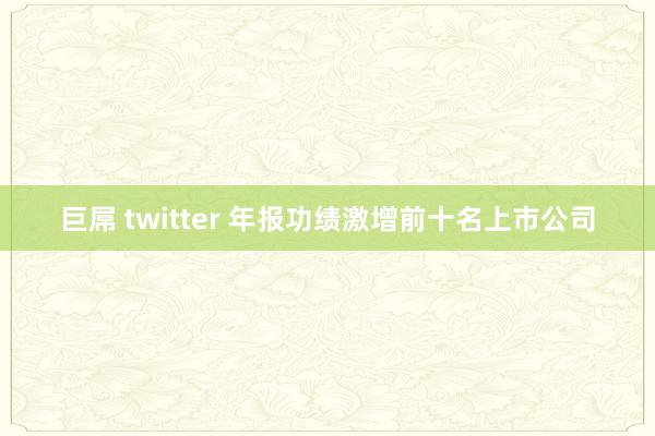 巨屌 twitter 年报功绩激增前十名上市公司