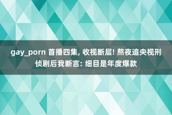 gay_porn 首播四集， 收视断层! 熬夜追央视刑侦剧后我断言: 细目是年度爆款